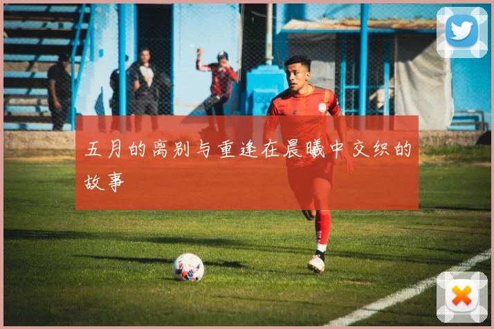 五月的离别与重逢在晨曦中交织的故事